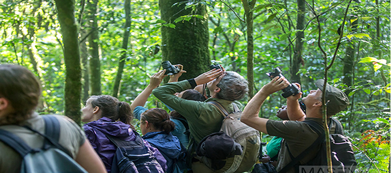 Birds In Murchison Falls, Cultural tours in Bwindi
