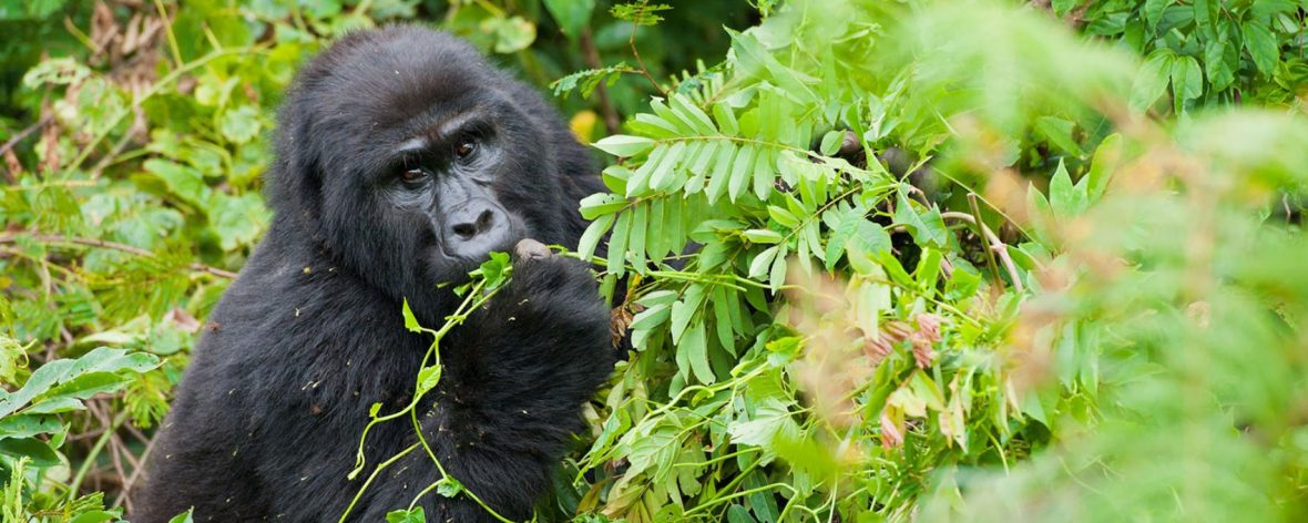 places to visit in Rwanda