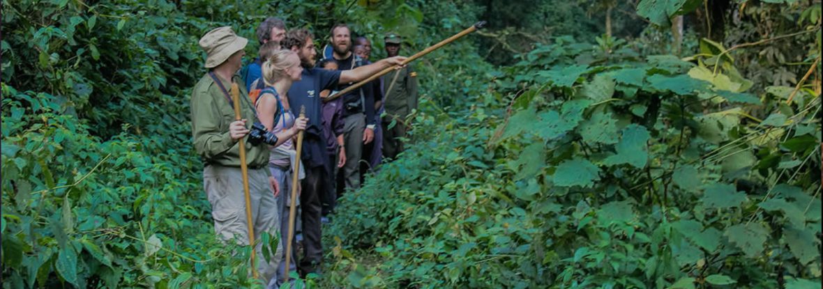 Buhoma community walk, Hiking And Nature Walk in Bwindi Impenetrable Forest National Park