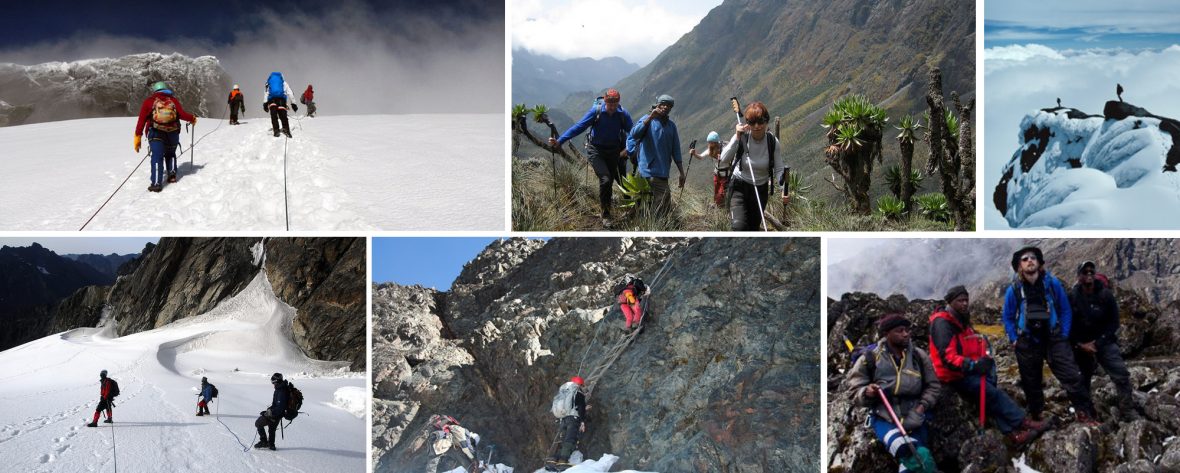 MOUNTAIN RWENZORI HIKING, Rwenzori Mountains National Park