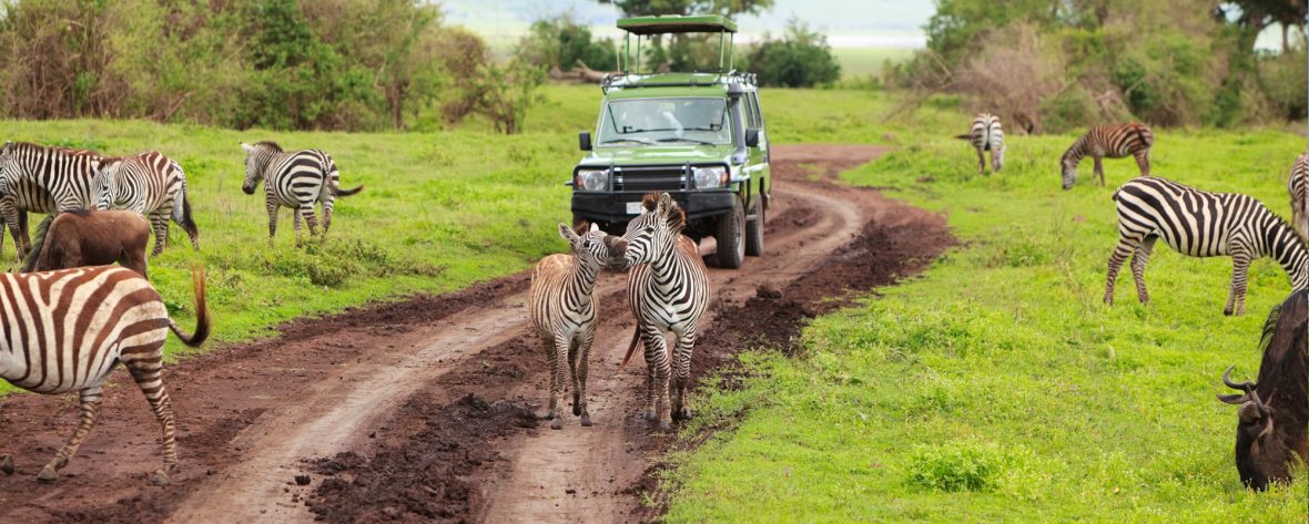 Flights to Kidepo Valley National Park