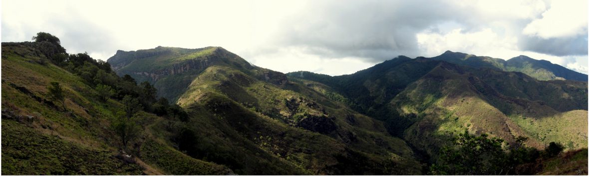 Pian Upe Wildlife Reserve Uganda