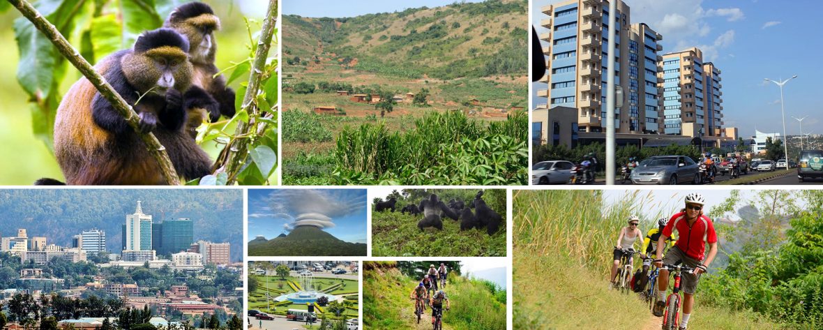 6 Days Special Package: Gorilla trekking Safari in Congo and Uganda is an impressing tour package that takes you to Volcanoes and Nyungwe National Parks