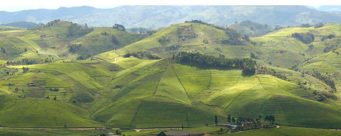 The Land of A thousand Hills: From the little clean and cozy Kigali city, the rattling plains teeming with abundance of wildlife, and dramatic forests