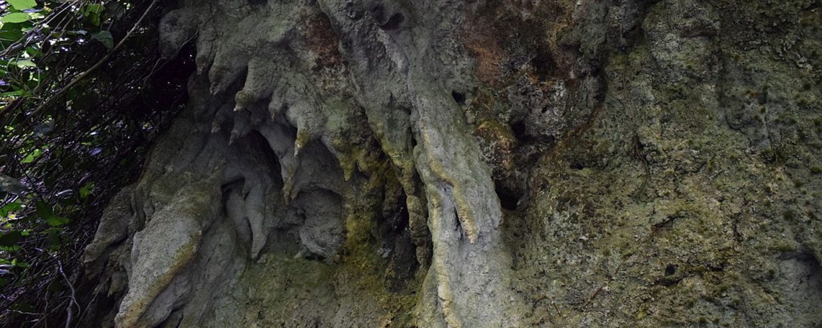 Amabere ganyinamwiru cave: 10 kilometers outside of Fort portal town lays the limestone site which is attached to a vast wealth of interesting legends.