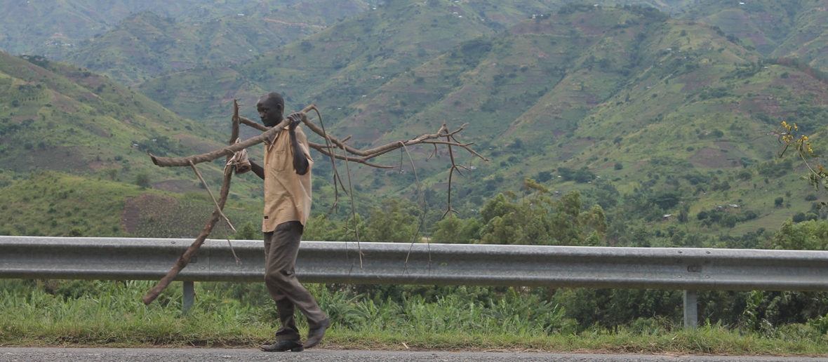 Nyakasura hills, Mountain Elgon National Park