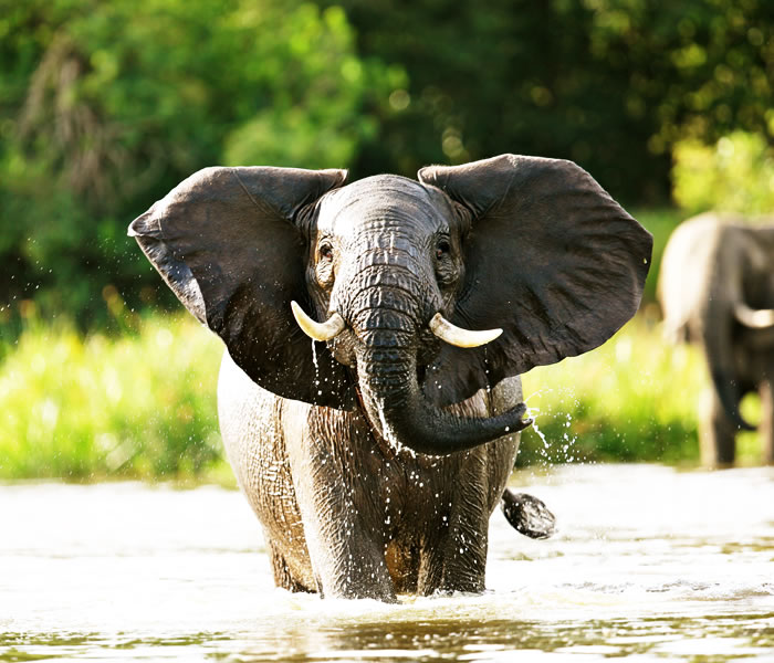 Queen Elizabeth National Park