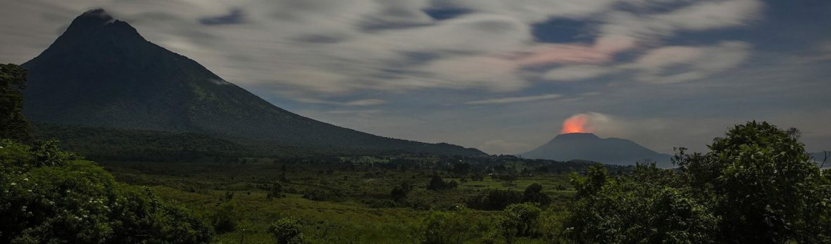 Are Uganda Gorilla Parks safe, Bwindi Forest Uganda,Uganda Gorilla Parks safe despite Virunga National park Massacre