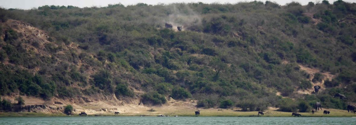 Tourism In Uganda