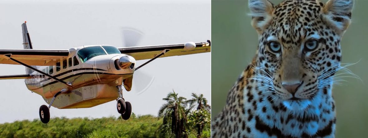 Flights to Bwindi Forest National Park, Luxury Classic Wildlife Safari in Uganda