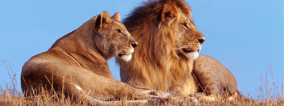 Luxury Safari to Kidepo, Entrance Fees to Kidepo Valley National Park