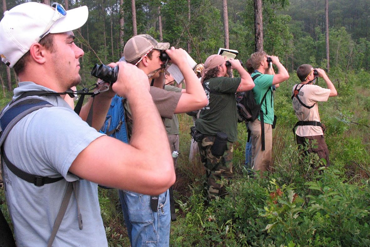 Kaniyo Pabidi Forest in Murchison Falls National Park