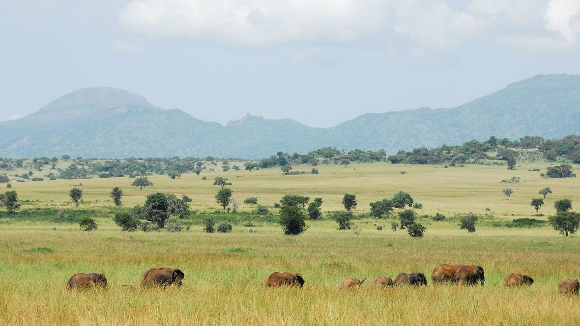Narus valley in Kidepo valley national park.