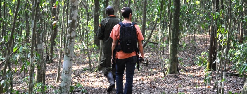 How To Access Maramagambo Forest In Queen Elizabeth National Park