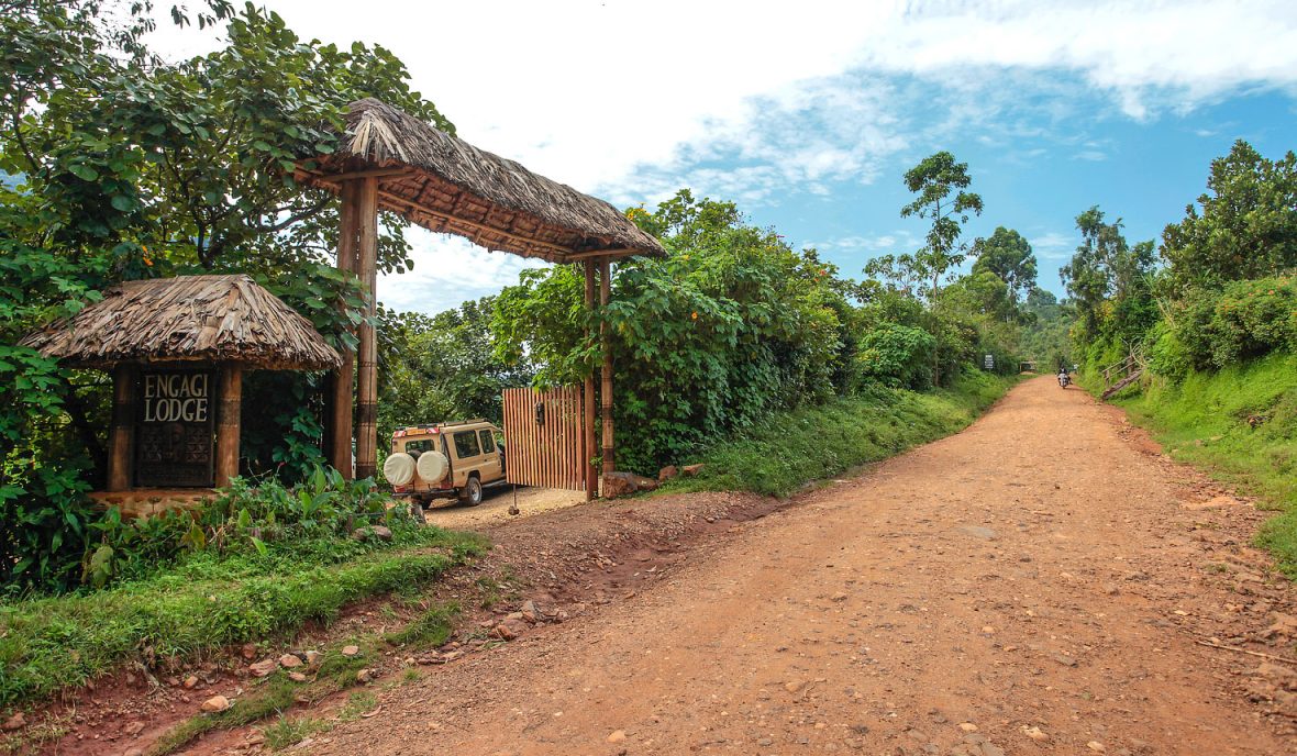 Engagi Lodge In Buhoma Sector Of Bwindi Forest Park