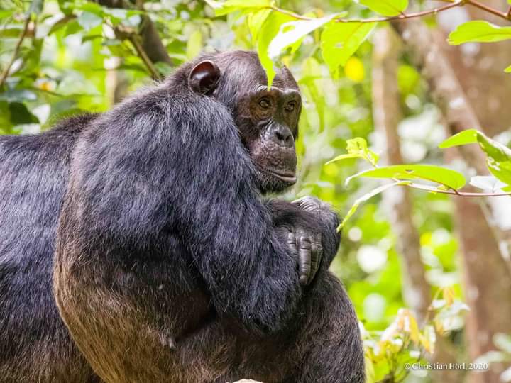 Places To Visit In Dr Congo