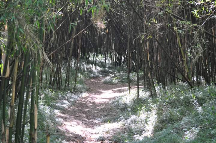 Mount Nyiragongo Hike In Virunga National Park