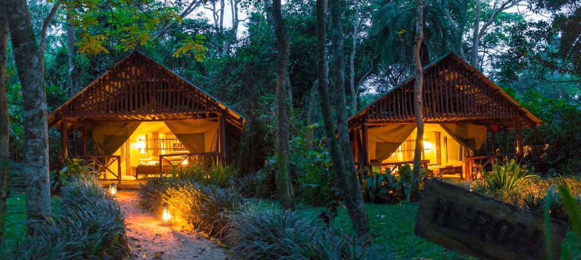 Mid Range Lodges In Kibale Forest National Park, Kibale forest camp
