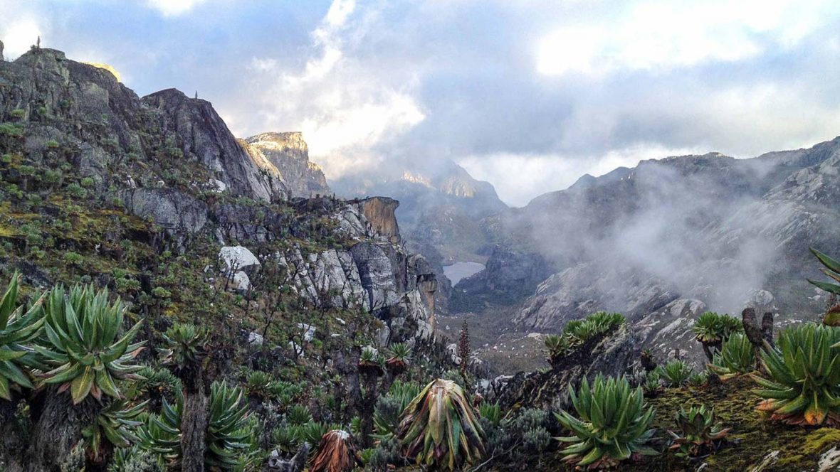 Rwenzori Mountains In DR. Congo