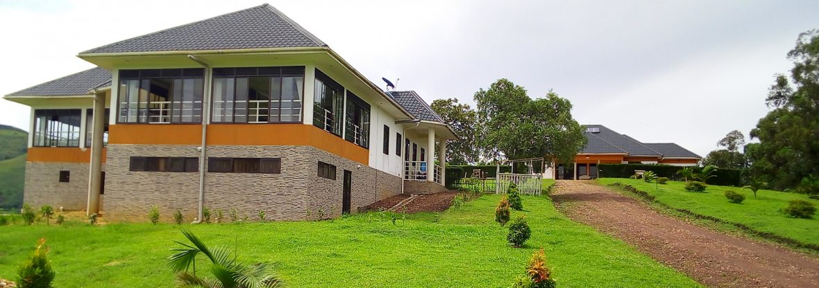Mid Range Lodges In Bwindi