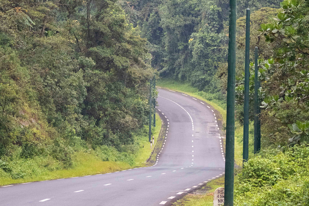 Driving To Nyungwe Forests National Park Rwanda