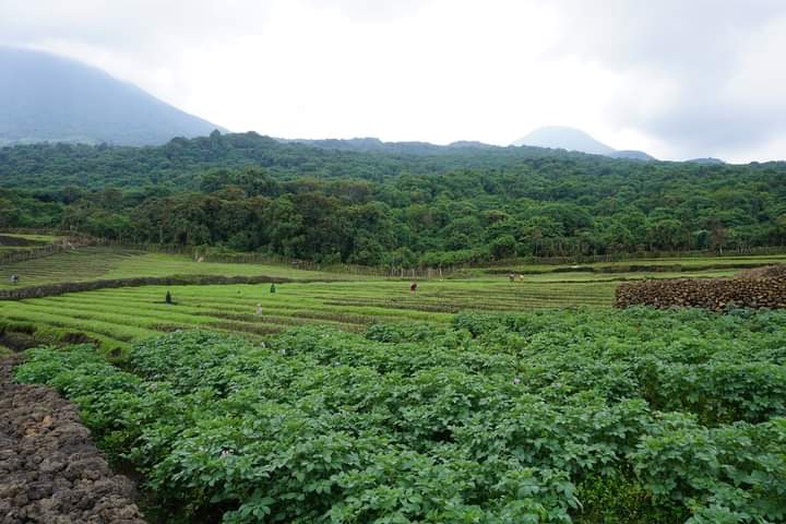 Mountain Nyamurangira In DR Congo