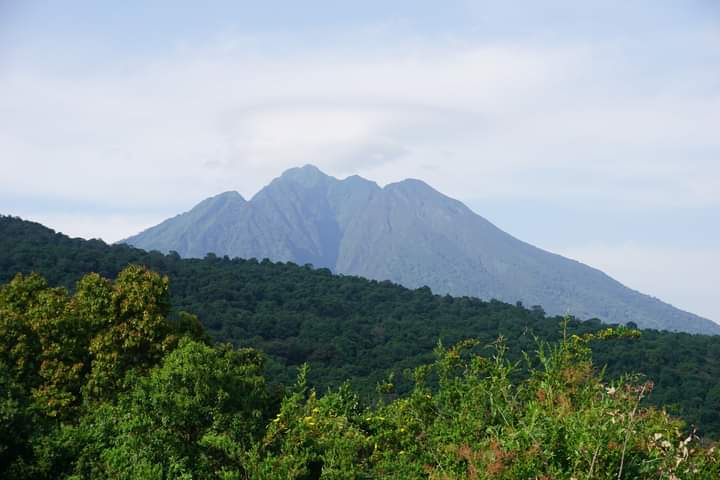 Departure Times For Virunga National Park Packages In DR Congo