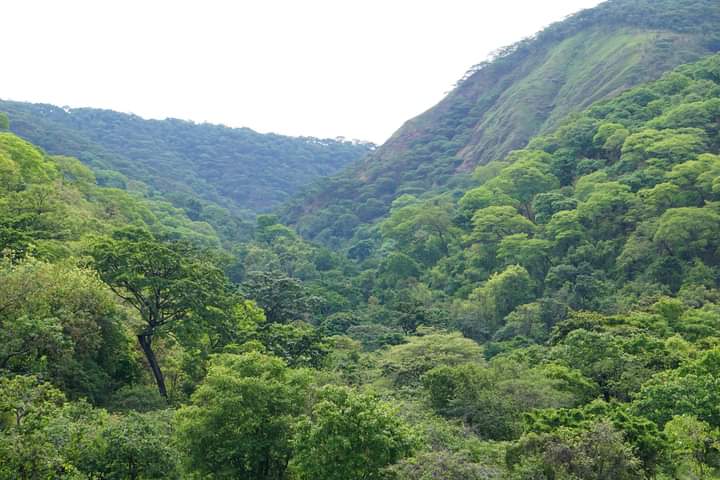 The Virunga Mountains, Nyamulagira, Nyiragongo, Gahinga, Sabinyo, Bisoke, Muhabura, Mikeno and karisimbi mountains.