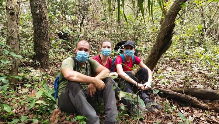 Family Gorilla Trekking Safaris In Uganda