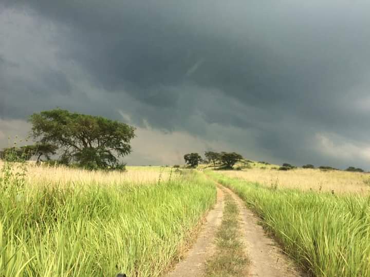 Getting To Akagera National Park Rwanda