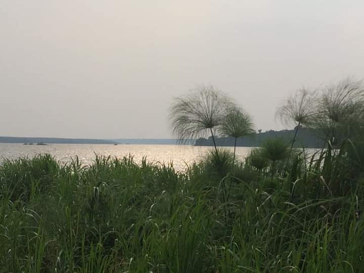 Lake Shakani In Akagera National Park Rwanda