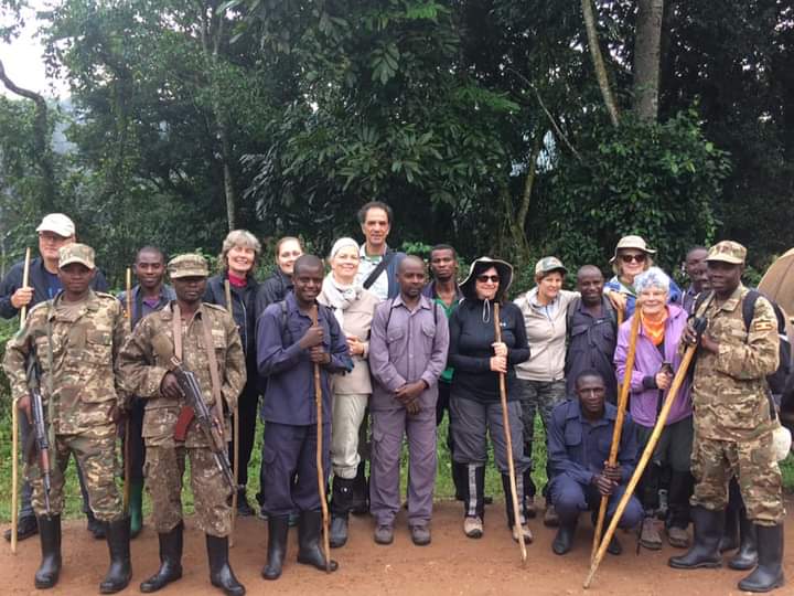 What Do Gorilla Trackers Or Advanced Teams Do In Gorilla Trekking?