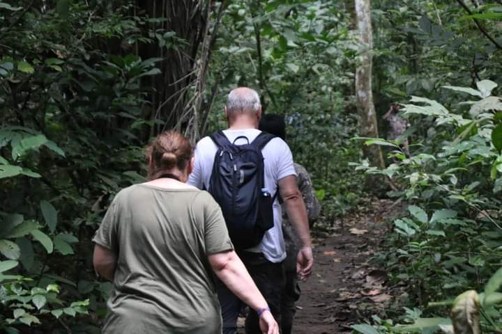 Buhoro Trail In Nyungwe Forest National Park.