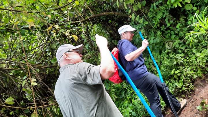 Gorilla Safari Advice To Bwindi Before Booking