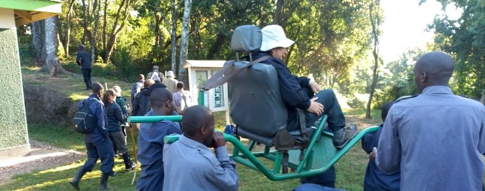 Gorilla Sedan Chairs In Volcanoes National park Rwanda, Uganda Gorilla Sedan Chairs For Travelers With Disability