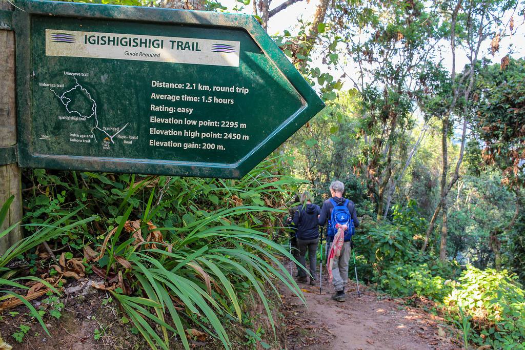 Igishigishigi Trail In Nyungwe Forest National Park