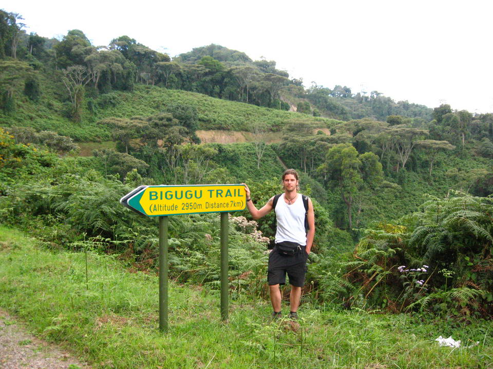 Mount Bigugu Trail In Nyungwe Forest National Park.