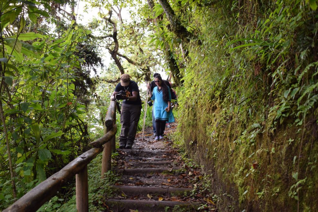 Nature Walks In Nyungwe Forest National Park Rwanda
