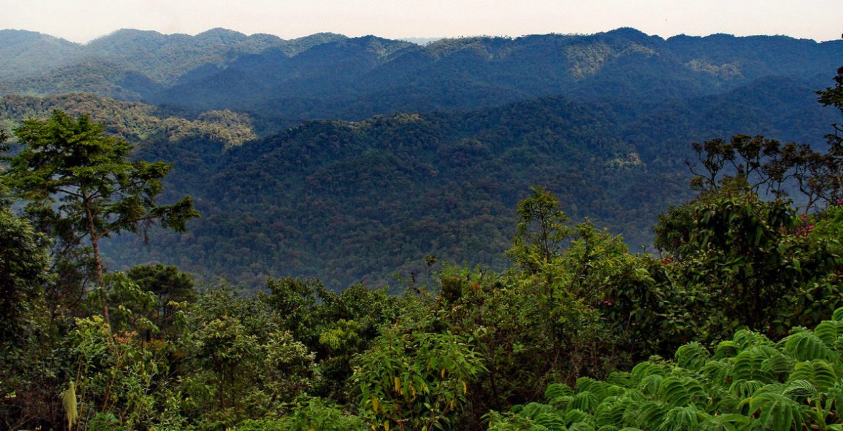 The Location Of Nyungwe Forest National Park