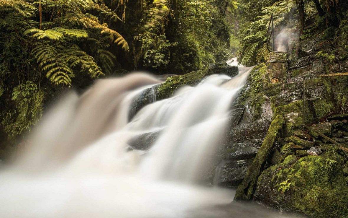 Waterfall Trail In Nyungwe Forest National Park