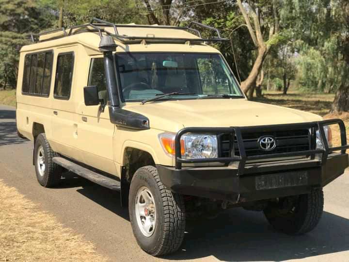 What Is Included In A Gorilla Tour Or Safari Holiday?