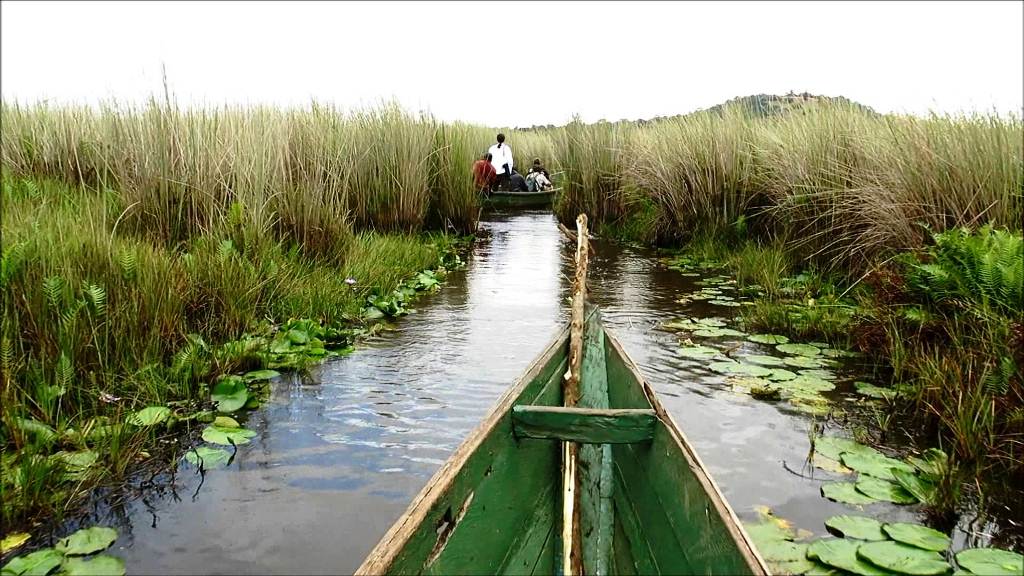 Mabamba Shoebill Day Trip From Entebbe Nakiwogo Landing Site By Boat