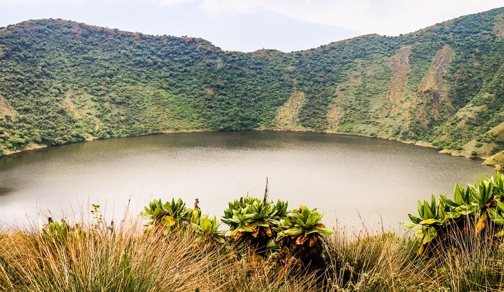 3 Days Mount Bisoke And Karisimbi Hike Rwanda