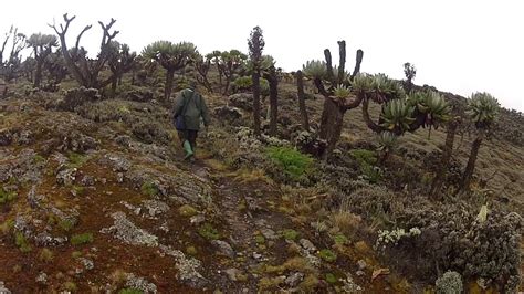 Costs Of Hiking Mount Elgon