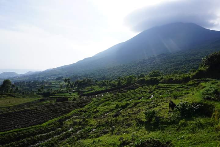 Mountain Muhavura, Sabinyo And Gahinga Hiking Safaris