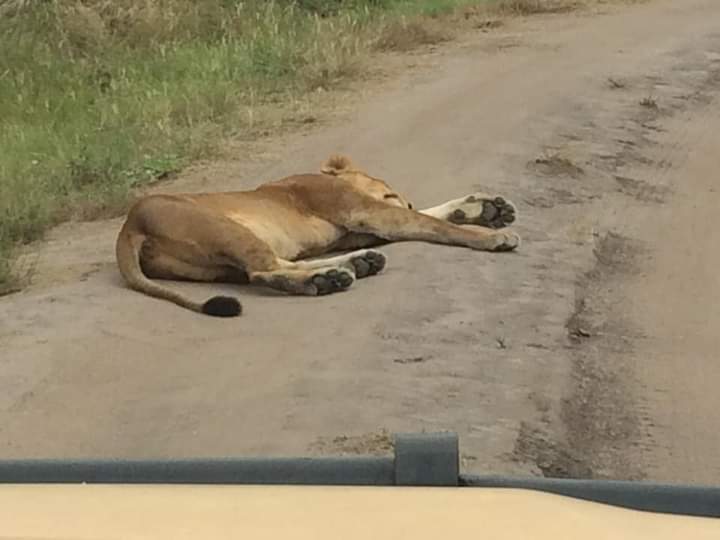 Rumara Loop In Akagera National Park Rwanda
