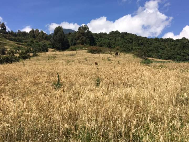 Mohana Plains In Akagera National Park Rwanda