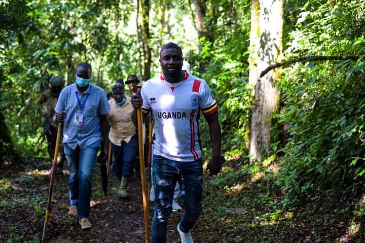 How To Spend 4 Days In Nkuringo Sector of Bwindi Forest National Park