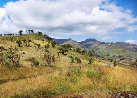 Mount Elgon National Park Uganda., Size Of Mount Elgon National Park. size of mount