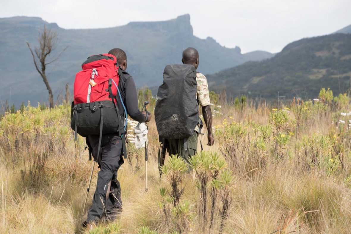 Rangers And Porters On Mount Elgon National Park.